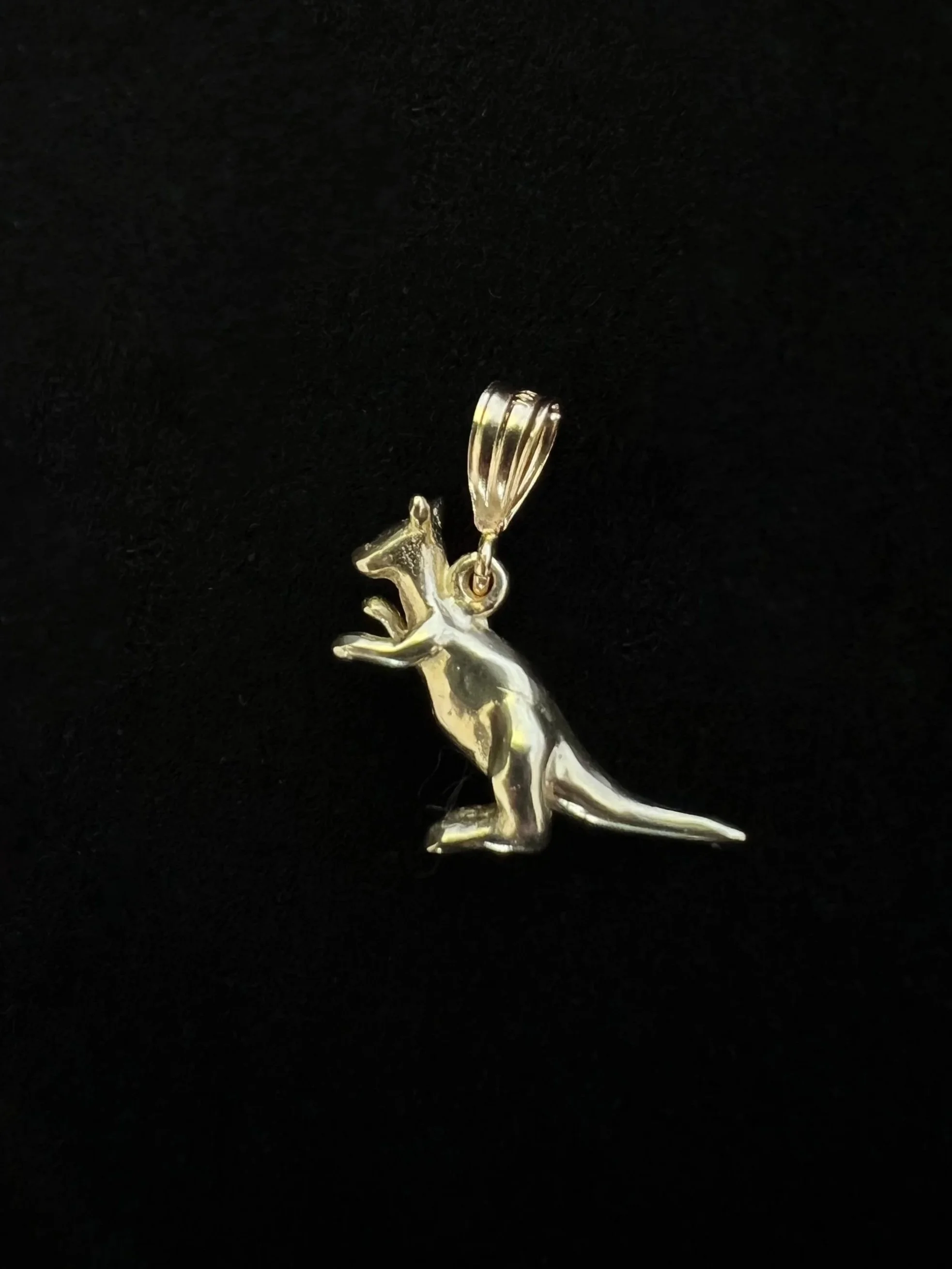 EE219C04-8897-45DF-87FF-B0A027000DE7 by Ruby Red Butler